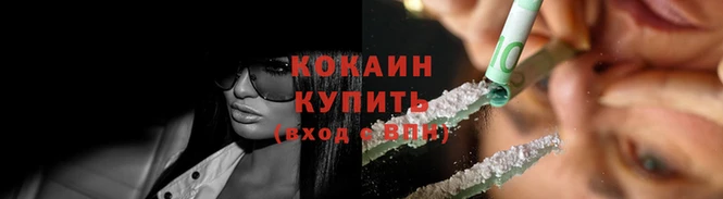 индика Новозыбков