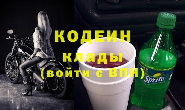индика Новозыбков