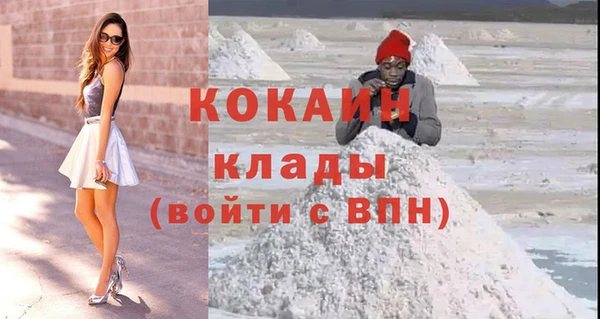 бошки Няндома